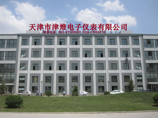 天津市津维电子仪表有限公司