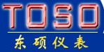 佛山市东硕仪表自动化有限公司