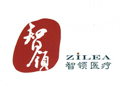 珠海智领医疗科技有限公司
