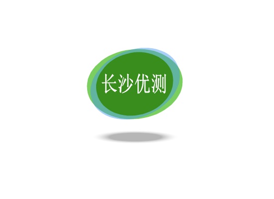 长沙优测仪器有限公司