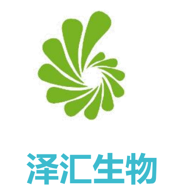 北京泽汇商贸有限公司