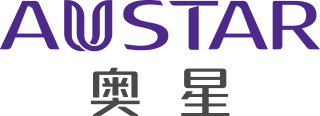 香港奥星集团