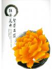 公司简介