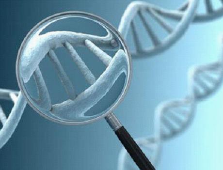澳将用基因测序技术诊断罕见基因疾病 - 资讯 
