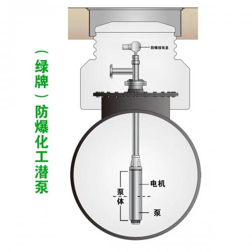 防爆液下泵-Ga級智能防爆潛液泵-二氯防爆化工潛泵