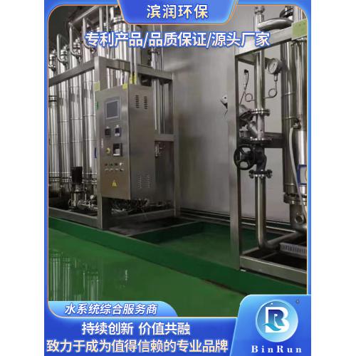 BR-1000L蒸馏水机设备