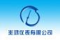 安徽省天长市兆鸿仪表有限公司